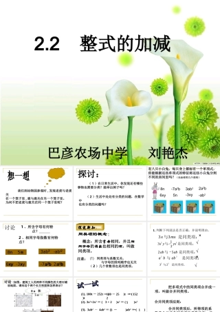 整式加减（1）合并同类项