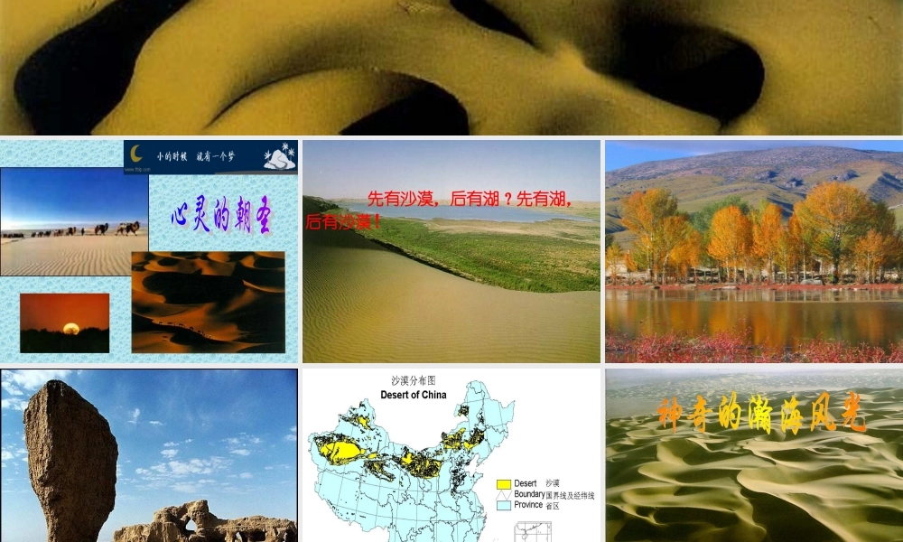 八年级语文下学期沙漠里的奇怪现象课件