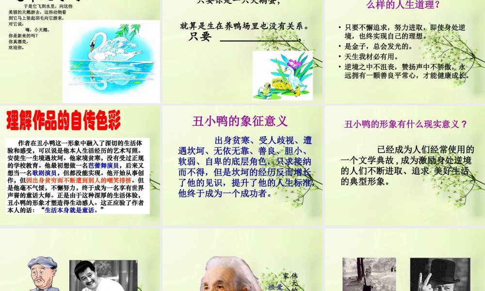 中学七年级语文下册(丑小鸭)课件 新人教版