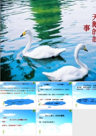 天鹅的故事 (2)