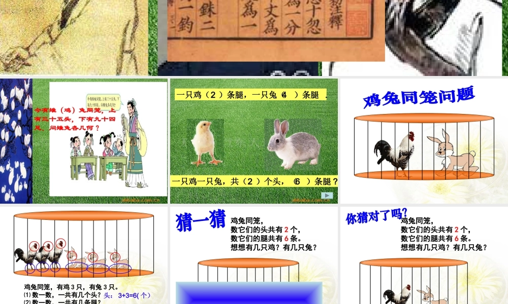 小学鸡兔同笼课件