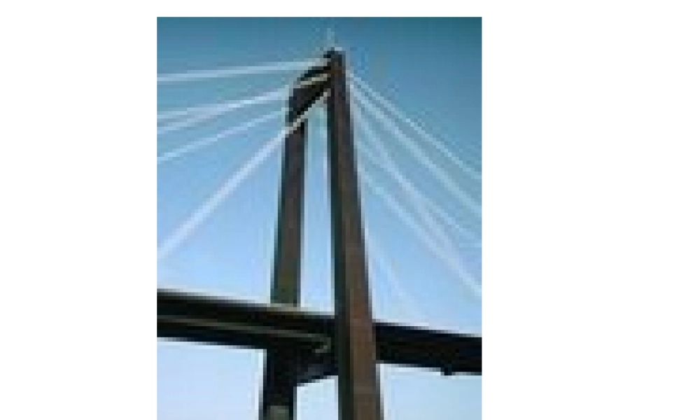 平面图形周长和面积总复习2