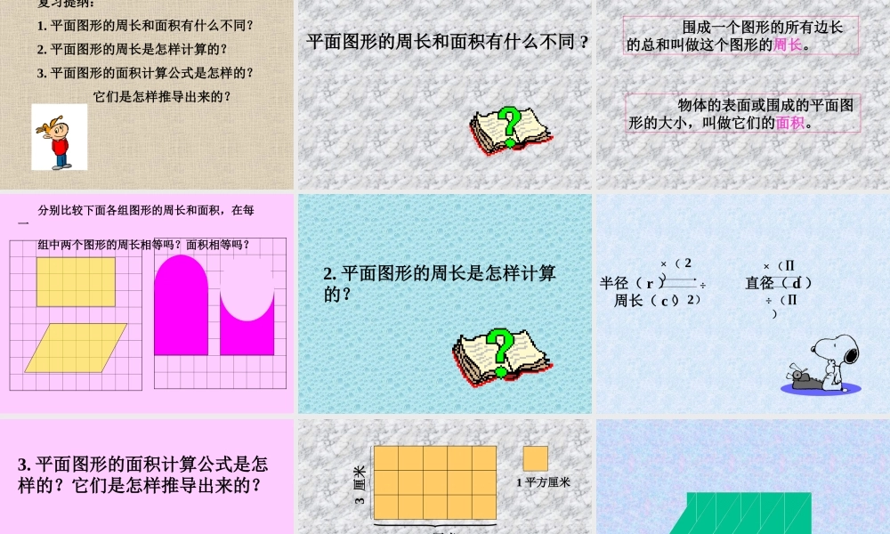 平面图形周长和面积总复习2