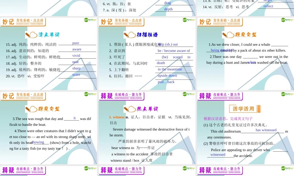 广东省高三英语 M7 Unit 3 Under the sea复习课件 新人教版 课件