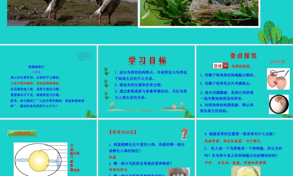 八年级生物下册 7.1.4 鸟的生殖和发育课件 八年级生物下册 7.1.4鸟的生殖和发育课件+素材(新版)新人教版 八年级生物下册 7.1.4鸟的生殖和发育课件+素材(新版)新人教版