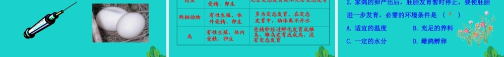 八年级生物下册 7.1.4 鸟的生殖和发育课件 八年级生物下册 7.1.4鸟的生殖和发育课件+素材(新版)新人教版 八年级生物下册 7.1.4鸟的生殖和发育课件+素材(新版)新人教版