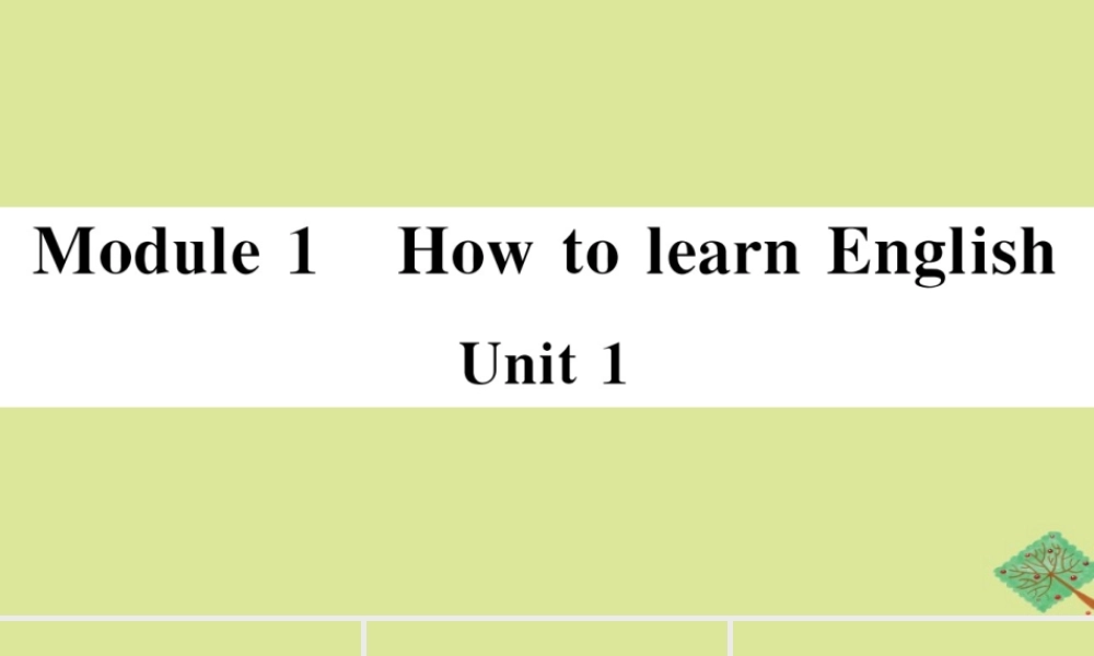 八年级英语上册 Module 1 How to learn English Unit 1 Let s try to speak English as much as possible(小册子)作业课件 (新版)外研版 课件
