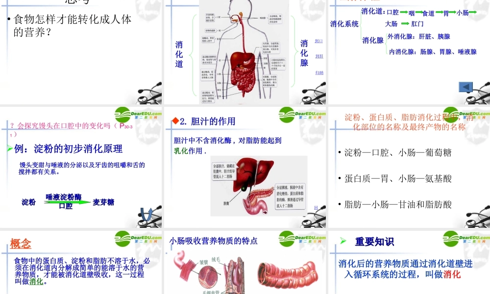 七年级生物下册：第2章_人体的营养(复习课件)人教版