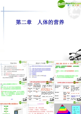 七年级生物下册：第2章_人体的营养(复习课件)人教版