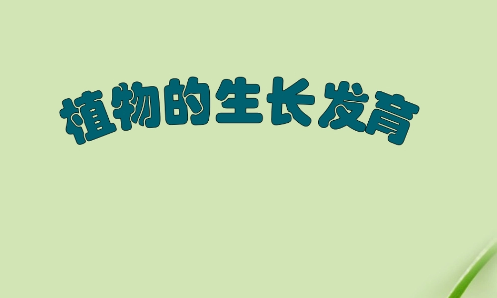 八年级生物上册 植物的生长和发育课件 苏科版 课件
