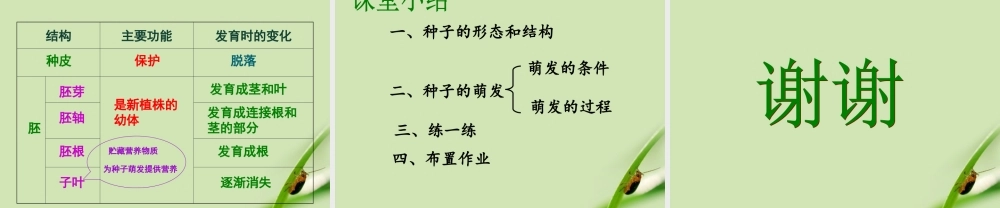 八年级生物上册 植物的生长和发育课件 苏科版 课件