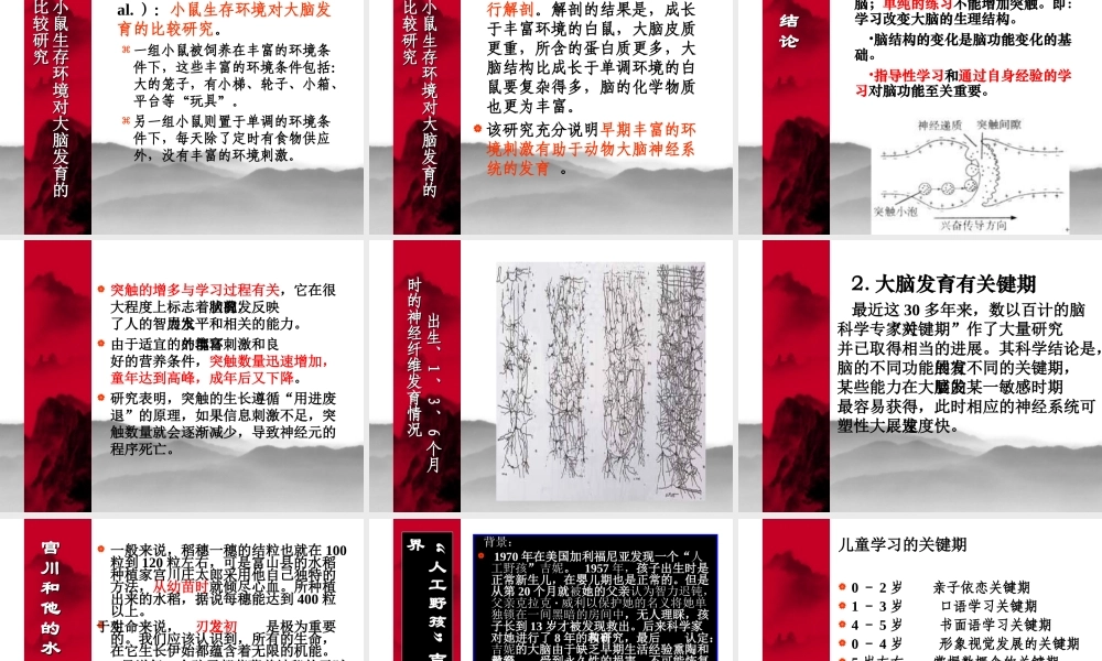 幼儿的学习方式与学习特点（陈丽）