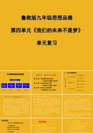 九年级政治 第四单元(我们的未来不是梦) 单元复习课件 鲁教版 课件