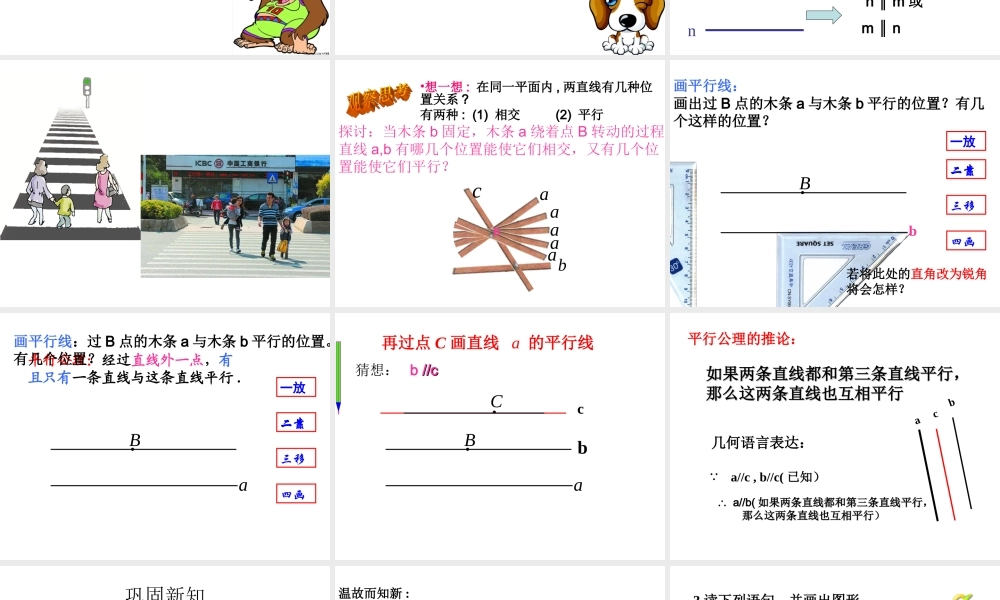平行线张PPT
