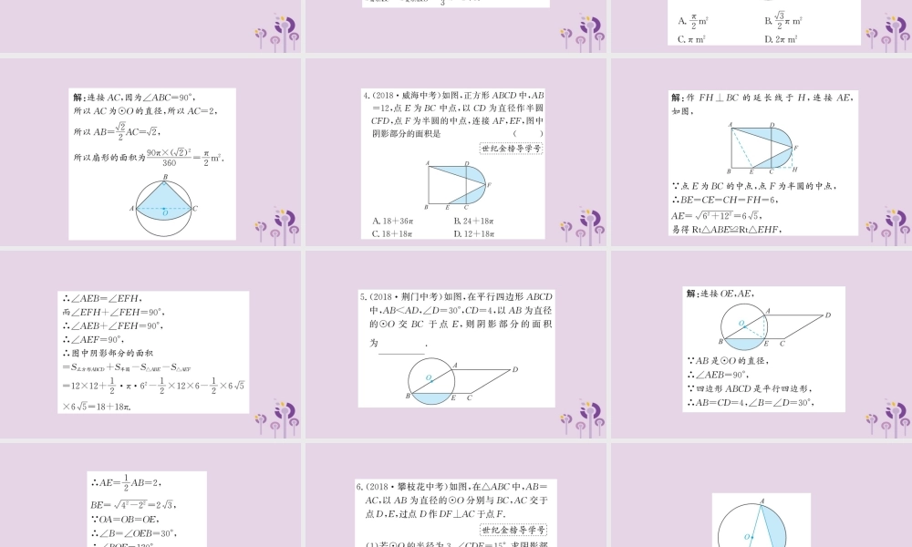 九年级数学下册 第三章 圆 39 弧长及扇形的面积训练课件 (新版)北师大版 课件