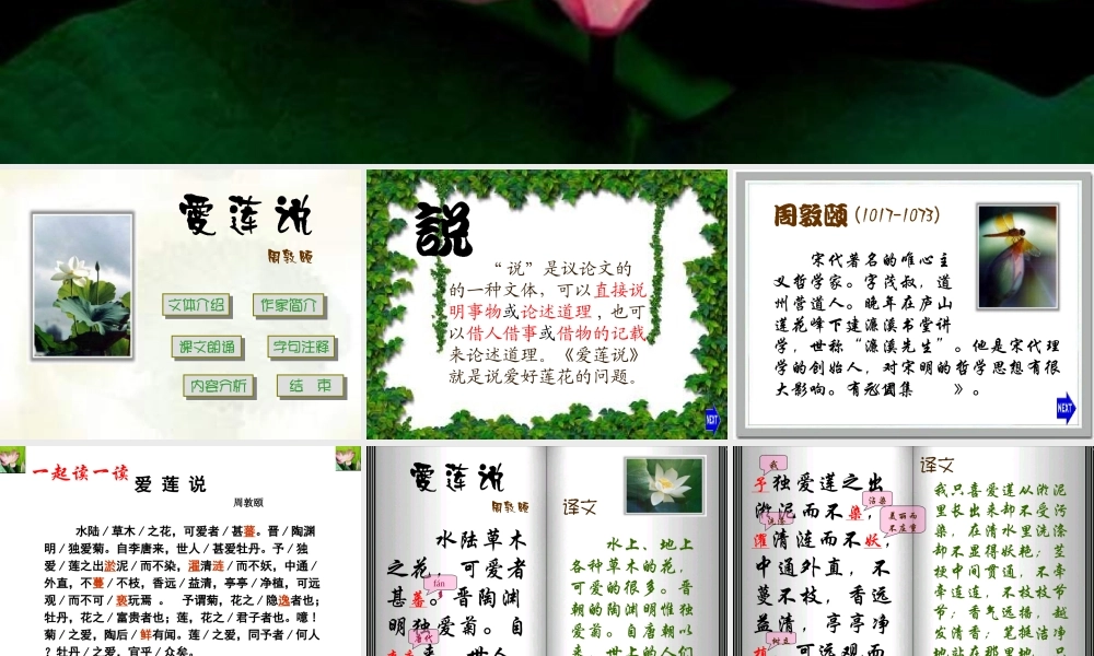 七年级语文爱莲说