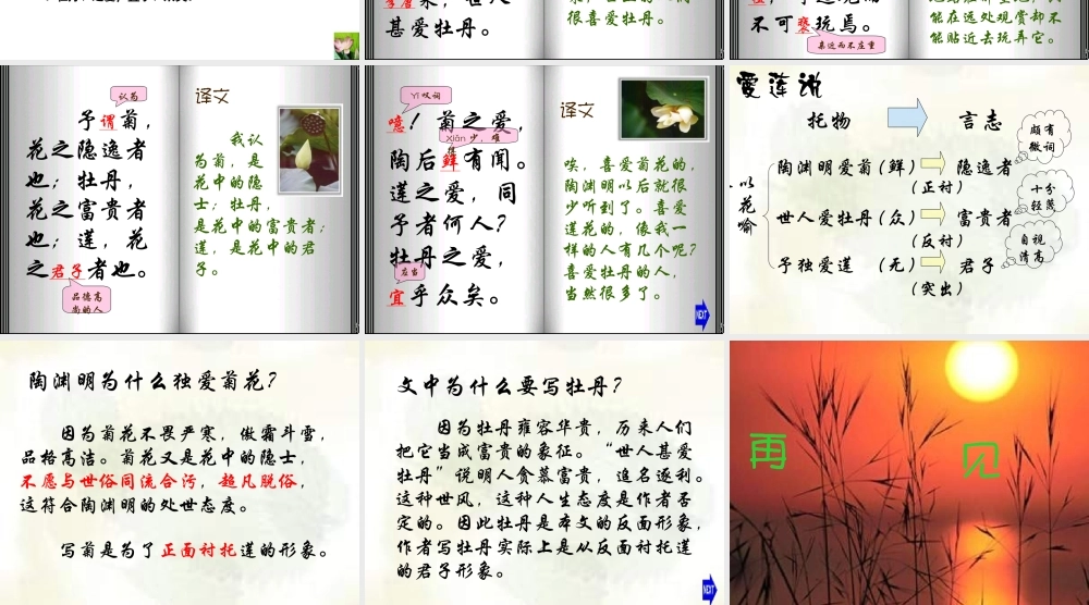 七年级语文爱莲说