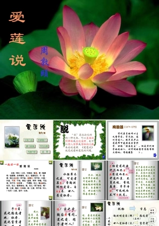 七年级语文爱莲说