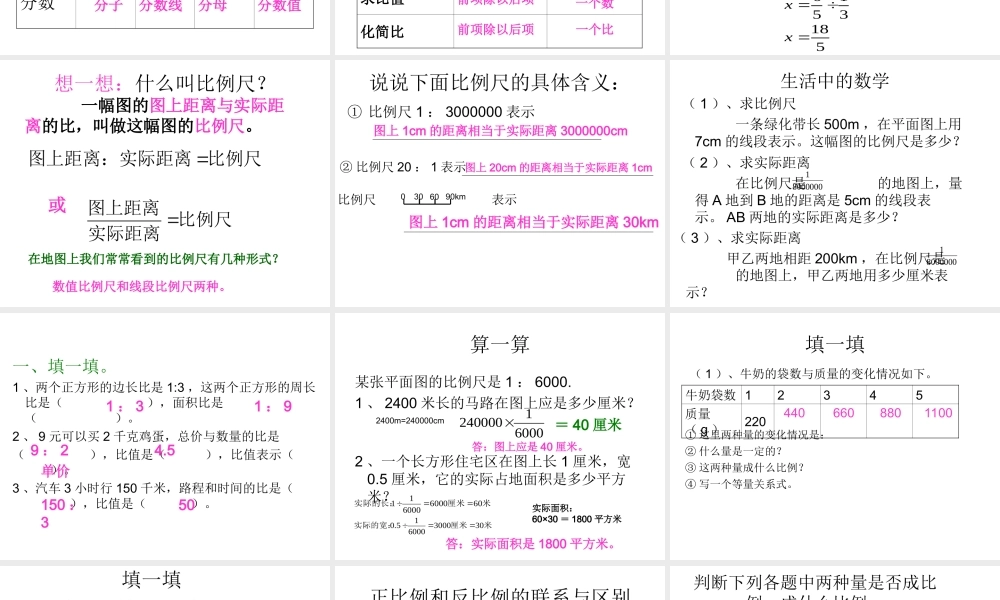 比和比例整理和复习