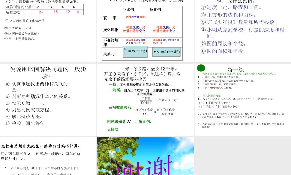 比和比例整理和复习