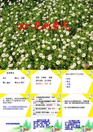《花的勇气》教学课件 (2)
