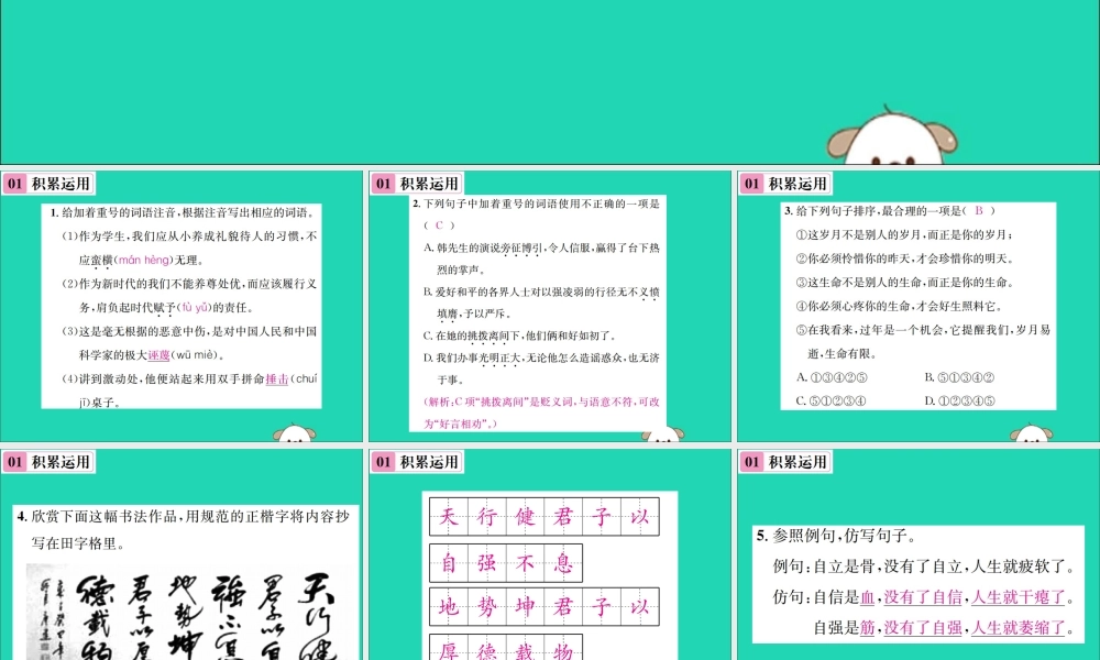 八年级语文下册 第四单元 13 最后一次讲演课件 新人教版 课件