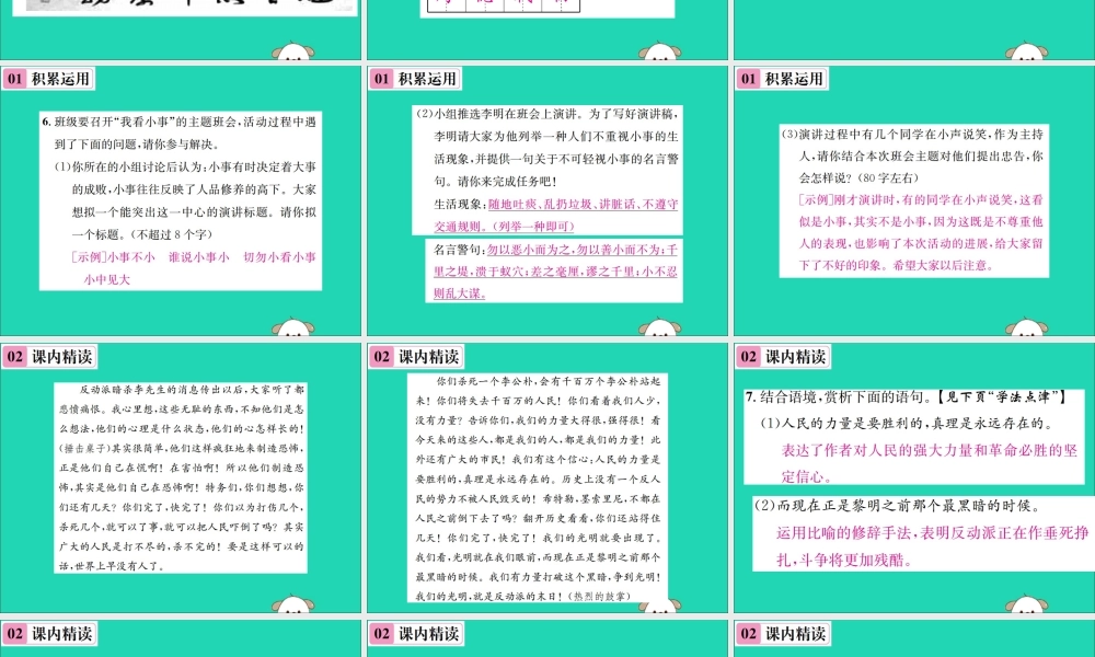 八年级语文下册 第四单元 13 最后一次讲演课件 新人教版 课件