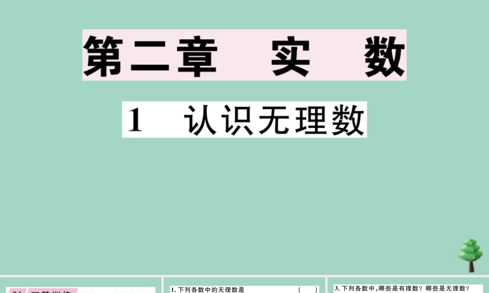 八年级数学上册 第二章(实数)2.1 认识无理数作业课件 (新版)北师大版 课件
