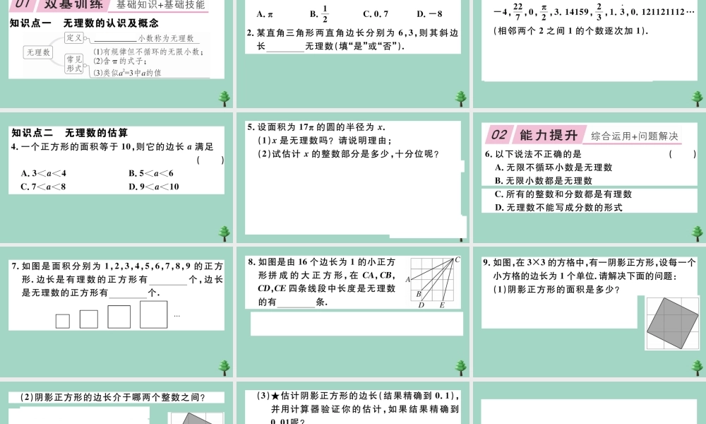 八年级数学上册 第二章(实数)2.1 认识无理数作业课件 (新版)北师大版 课件