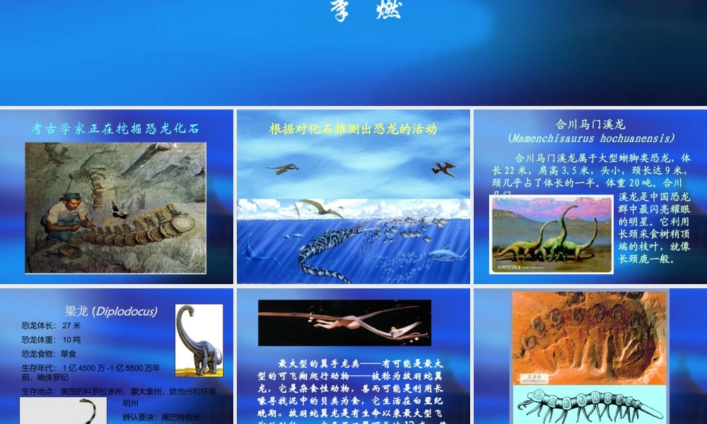 生物的进化历程