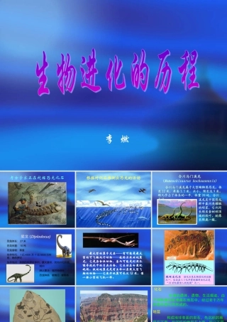 生物的进化历程