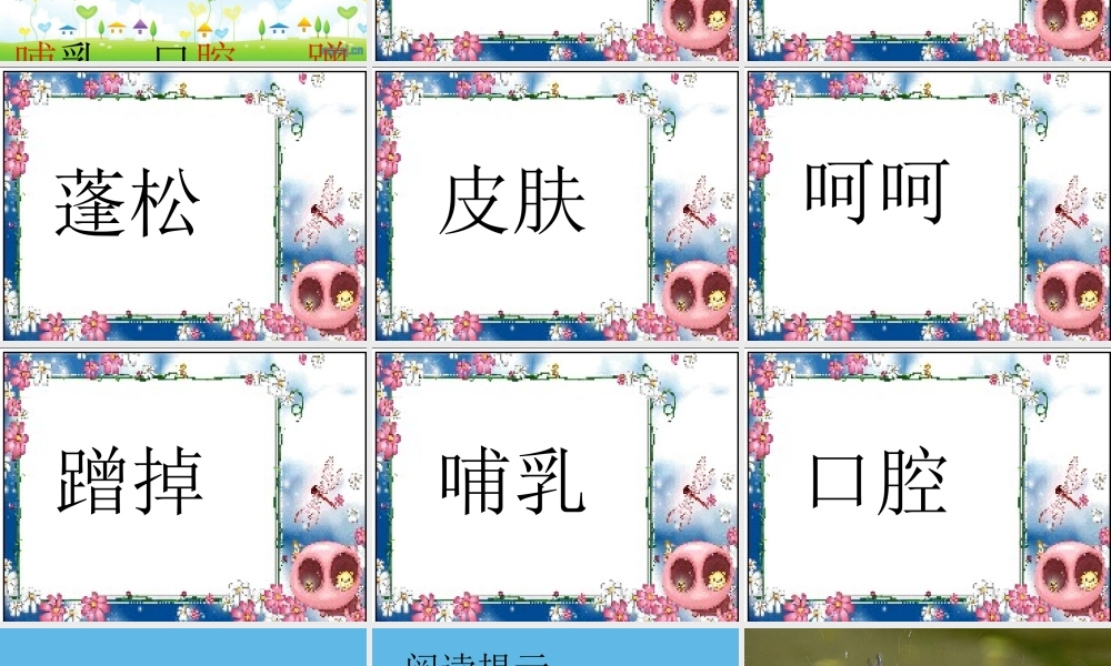 动物的个人卫生_2