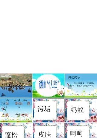动物的个人卫生_2