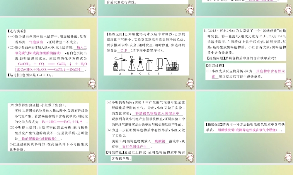 中考化学复习 题型复习(四)实验探究题 题型之一 物质成分的探究课件