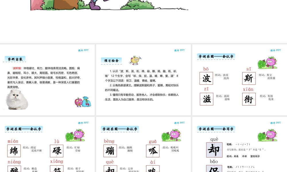 9波斯猫找快乐-(2)