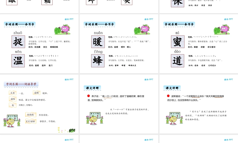 9波斯猫找快乐-(2)