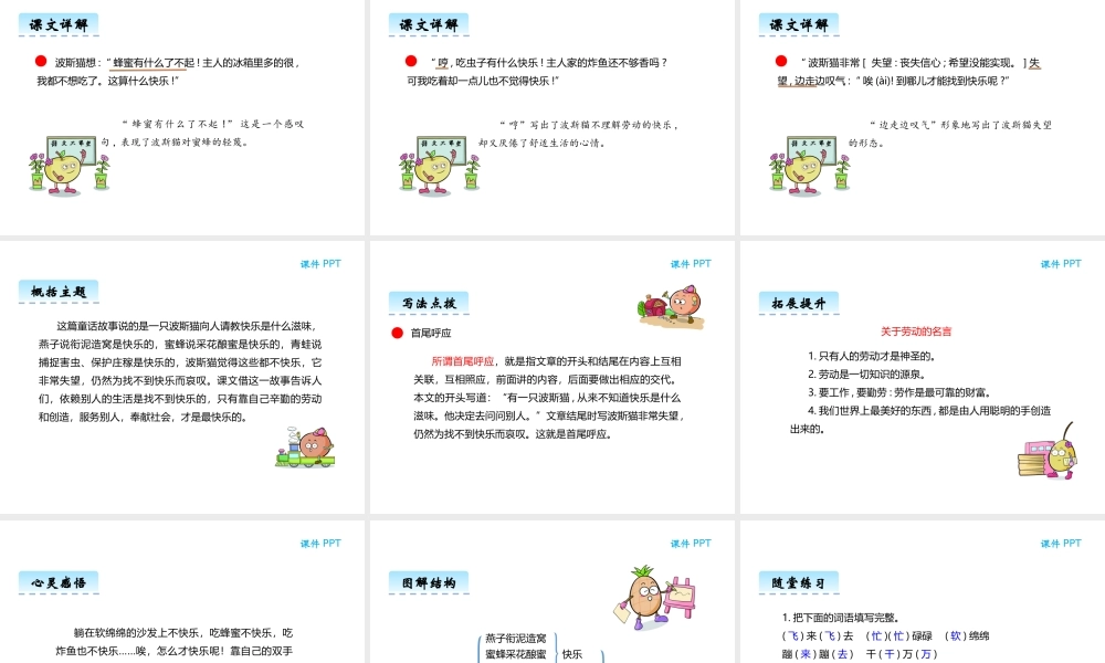 9波斯猫找快乐-(2)