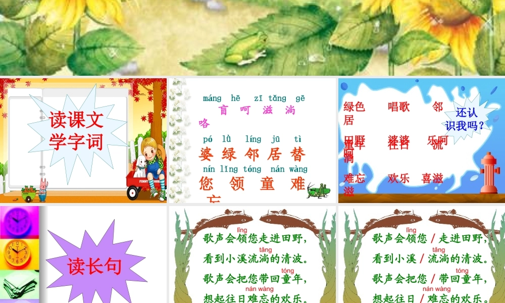 送给盲婆婆的蝈蝈_课件