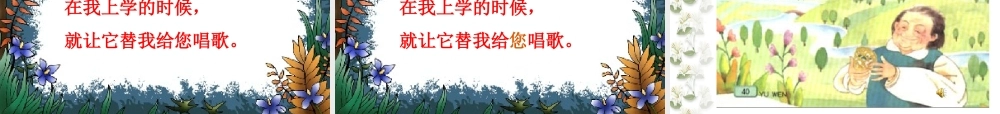 送给盲婆婆的蝈蝈_课件