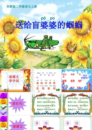 送给盲婆婆的蝈蝈_课件