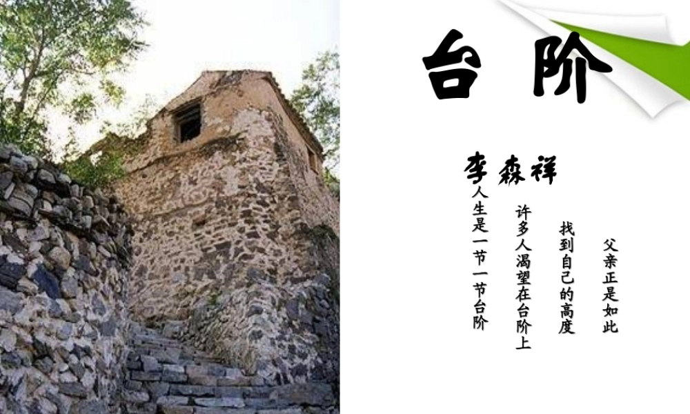 九年级语文 台阶课件 苏教版 课件