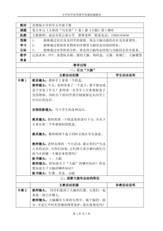 大脑教学设计