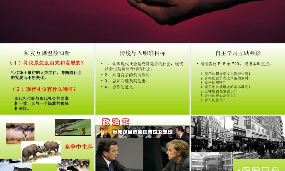 竞争与合作课件 (2)