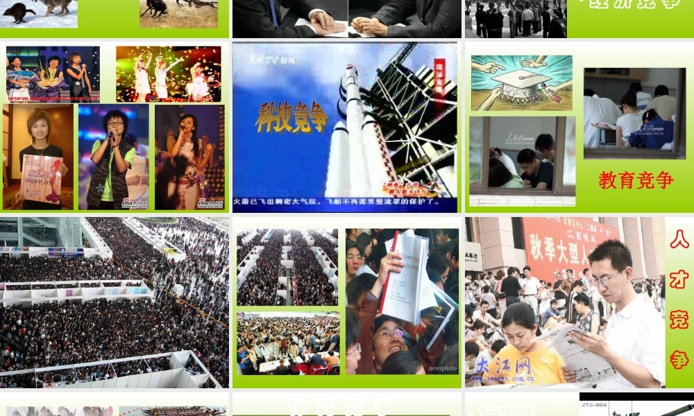 竞争与合作课件 (2)