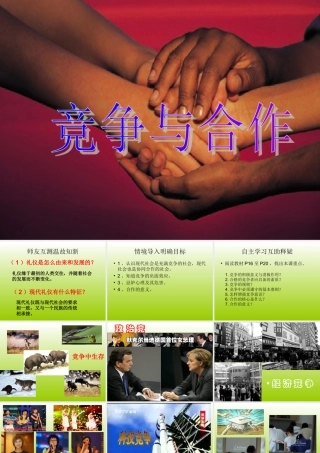 竞争与合作课件 (2)