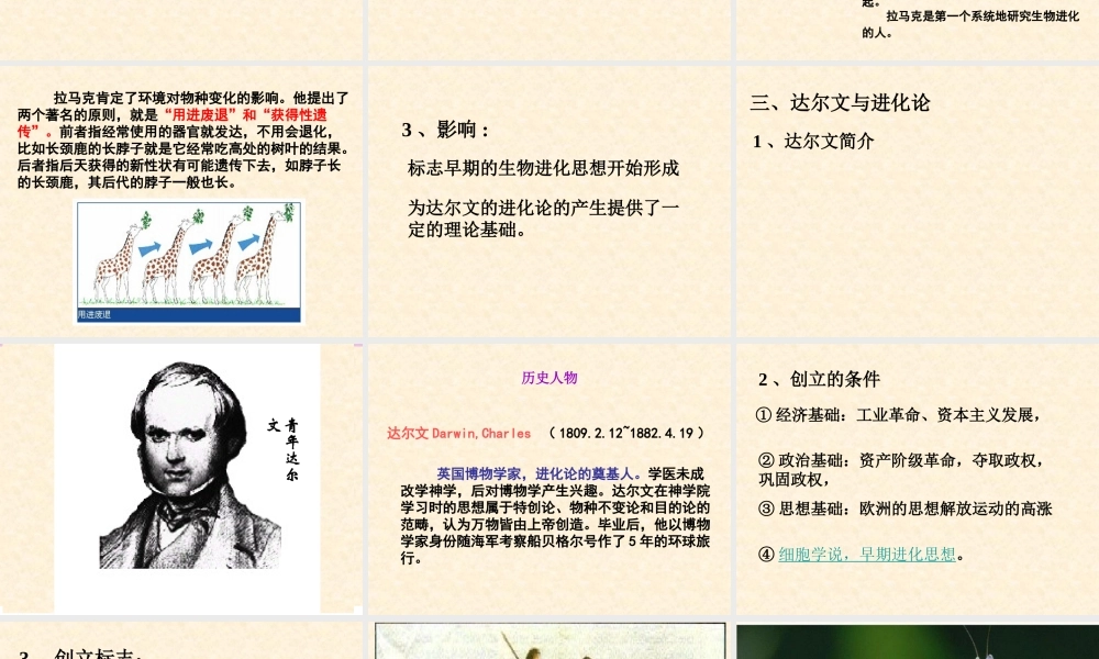 【历史】第12课探索生命起源之谜课件(人教版必修3)