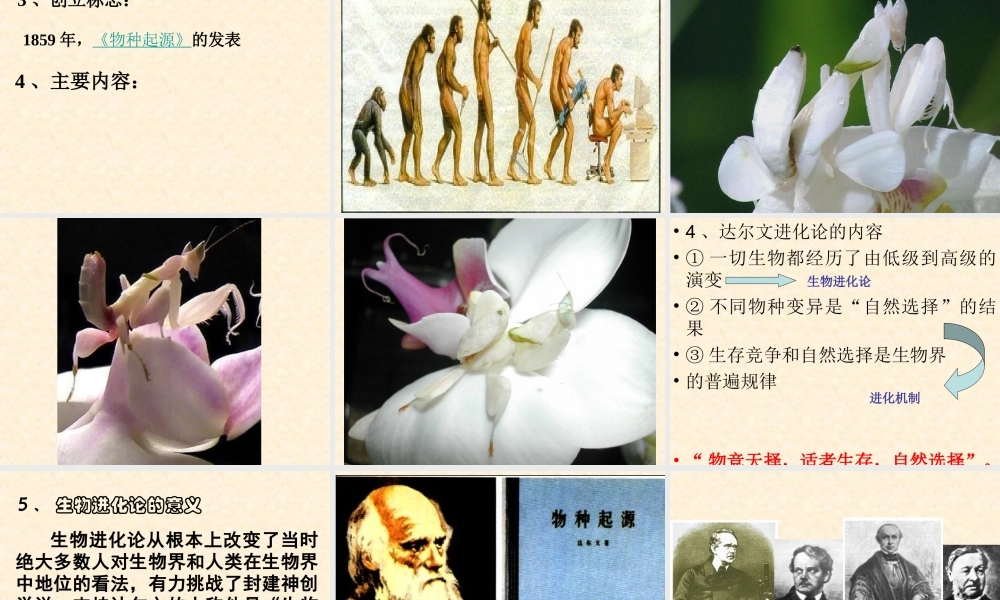 【历史】第12课探索生命起源之谜课件(人教版必修3)