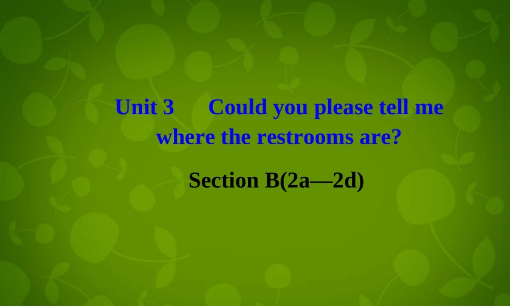 九年级英语全册 Unit 3 Could you please tell me where the restrooms are Section B 2课件 (新版)人教新目标版 课件