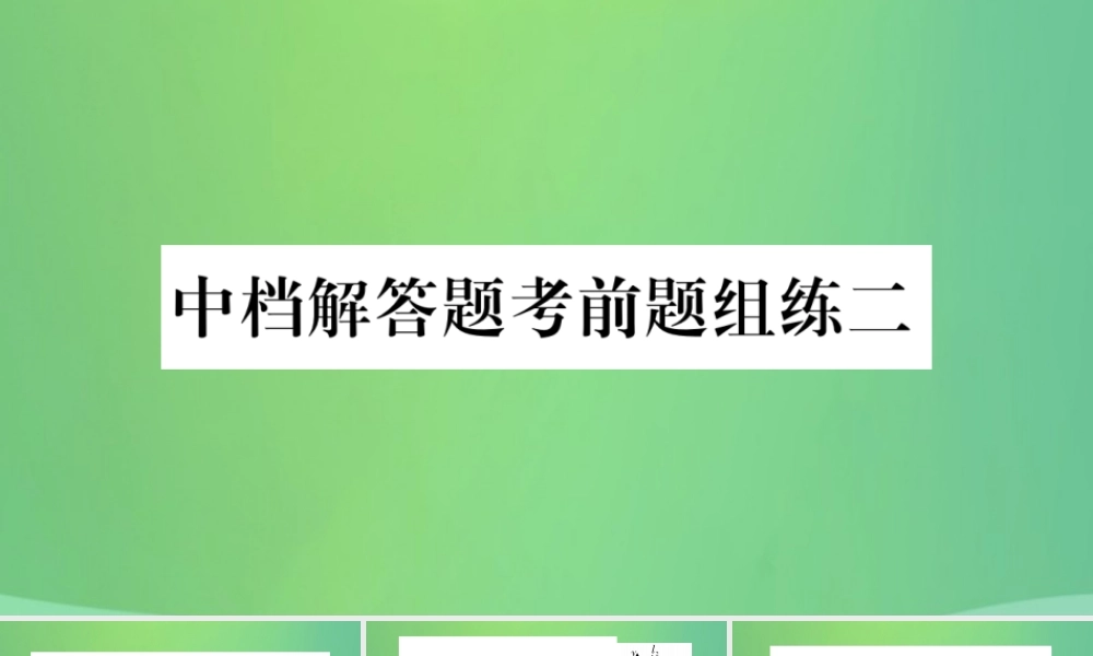 中考数学复习 中档解答题考前题组练二(精练)课件