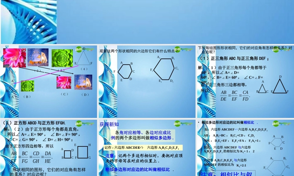 八年级数学下册 4.4(相似多边形)课件 北师大版 课件